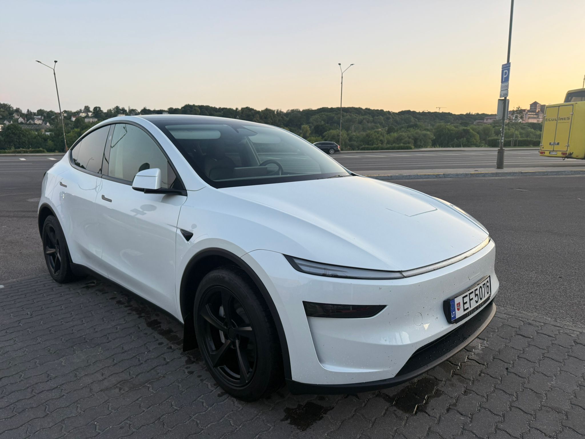 
								Model Y Long Range full									